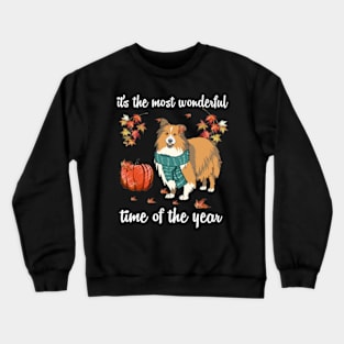 Sheltie Dog Autumn Fall Most Wonderful Time Maple Gift Crewneck Sweatshirt